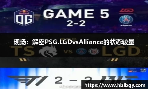 球速体育官方网站